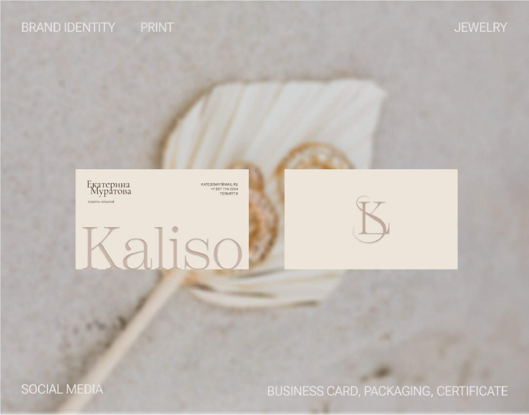 Brand Identity Project